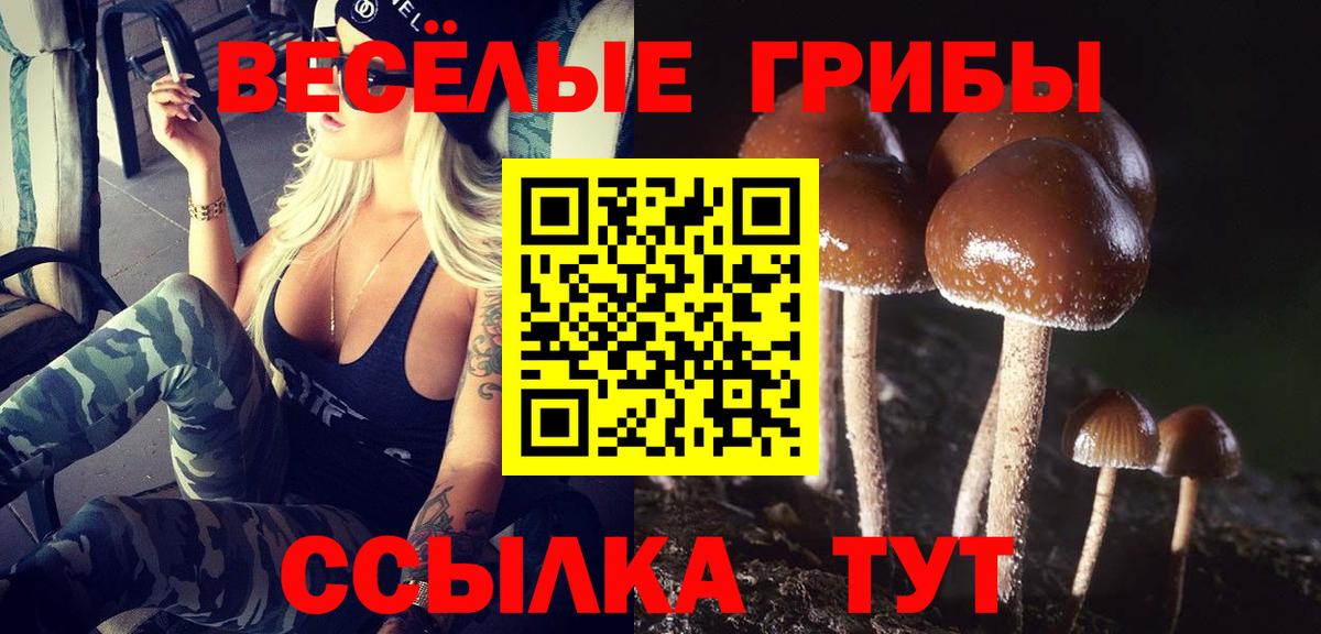 Псилоцибиновые грибы Psilocybe  Галлюциногенные грибы мухоморы  Вход с VPN  Светлоград 